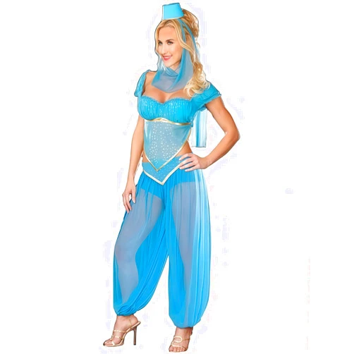 Genic Arabian Costume Women S-2XL Sexy Adult Genie Belly Dancer Arabian Nights Dress Costume