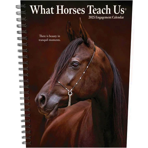 Willow Creek Press What Horses Teach Us Softcover Weekly Planner 2025 Spiral-Bound Engagement Calendar (6.5