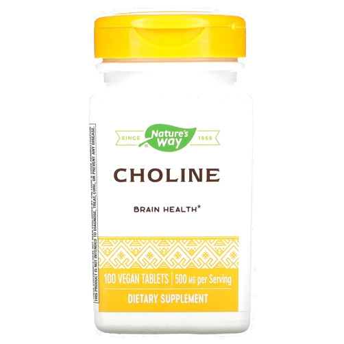 Nature's Way NATURES WAY 500Mg 100 Tb Choline, 100 CT