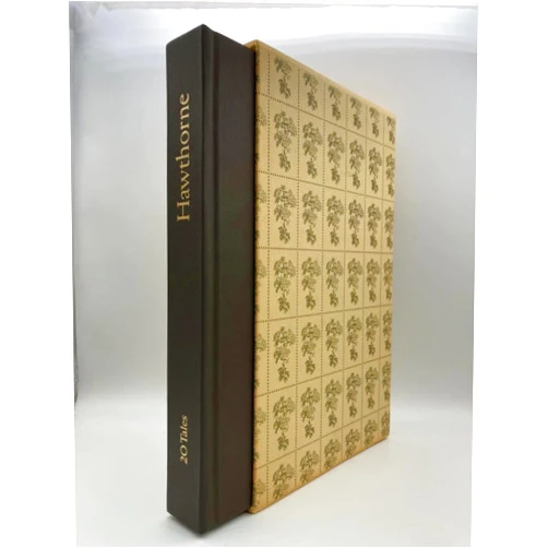 By Nathaniel Hawthorne (Author), Illustrated (Illustrator) Hawthorne, 20 Tales: A Selection of 20 Short Stories