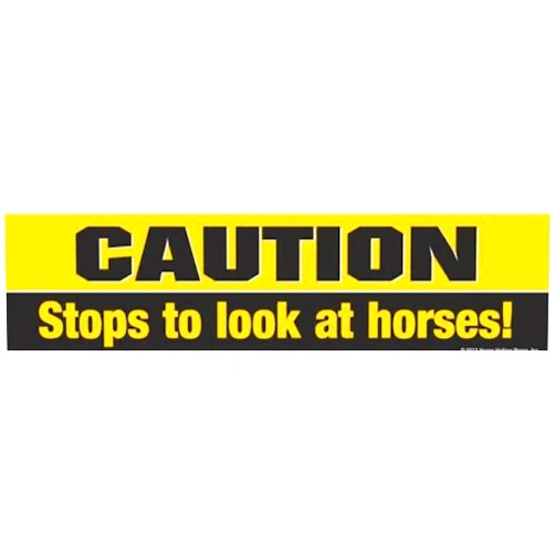 Horse Hollow Press Caution Stops to look at horses! Bumper Sticker