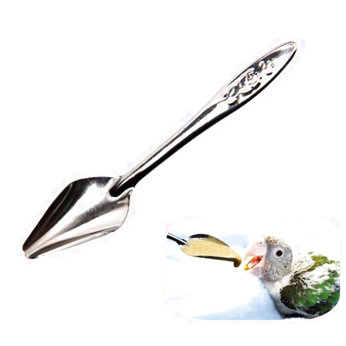 Momowoa 10 PCS Bird Feeder Spoons Stainless Steel Milk Medicine Parrot Feeding Scoops Hand Feeding Spoons for Peony Cockatiel Parrot