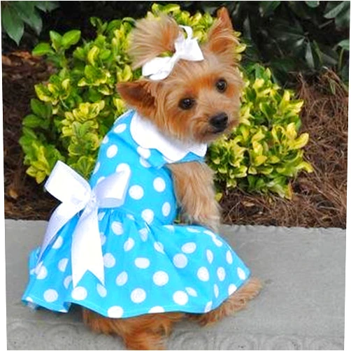 DOGGIE DESIGN Blue Polka Dot Dress with Leash and D Ring (Small)