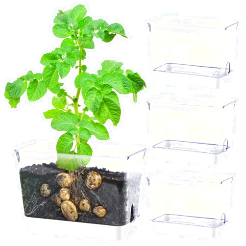 Oliz Self Watering Planters for Indoor Plants, 4 Pack Rectangular Clear Plant Pots with Drainage Holes for Spider Plant African Violet, Plant Growth Observations Plant Box for Kids