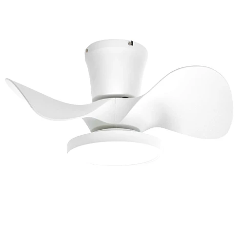 ocioc Quiet Ceiling Fan with LED Light 22 inch Large Air Volume Remote Control for Kitchen Bedroom Dining Room Patio