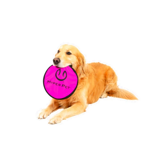Hyper Pet Flippy Flopper Dog Frisbee Interactive Dog Toys [Flying Disc Dog Fetch Toy – Floats in Water & Safe on Teeth] (Colors Will Vary), Multicolor, 9