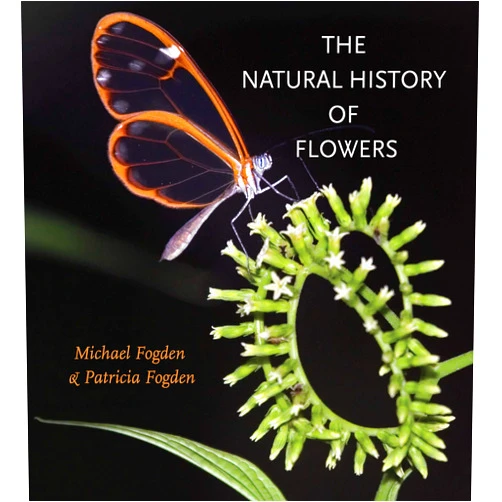 By Michael Fogden (Author), Patricia Fogden (Author) Format: Kindle Edition The Natural History of Flowers (Gideon Lincecum Nature and Environment Series)