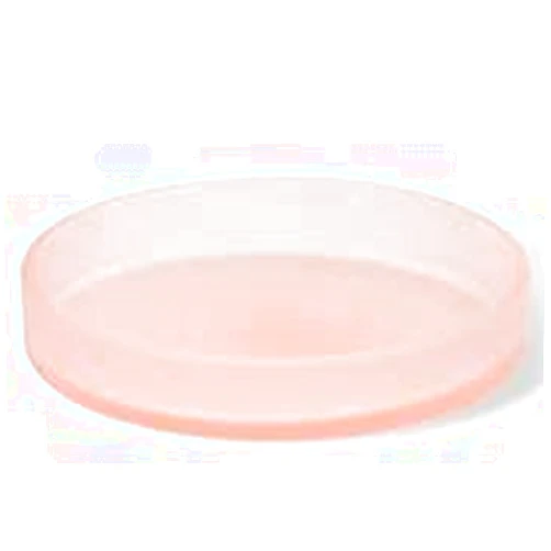 Nameeks Stilhaus by Nameeks StilHaus-579-VE Sara Free Standing Soap Dish,Green