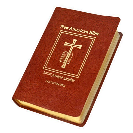 By Confraternity of Christian Doctrine (Author) New American Bible: Saint Joseph Edition, Medium-Size