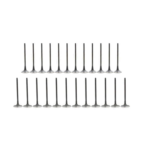 DNJ VK24174 Exhaust Intake Valve Kit for 2006 to 2016 Hyundai, Kia V6 3.3L, 3.5L, 3.8L DOHC 24V EV174 X12 IV174 X12