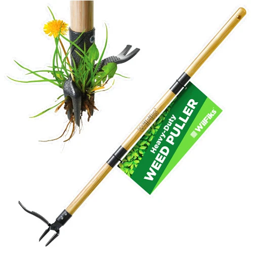 WilFiks Weed Puller Tool, Stand Up Heavy Duty Weed Remover Tool, Foot Platform Design - Wooden 41 Inches Long Handle - 4 Claw Steel Head Weeder Tool, Garden Hand Weeding Tool Smoothly Remove Weeds