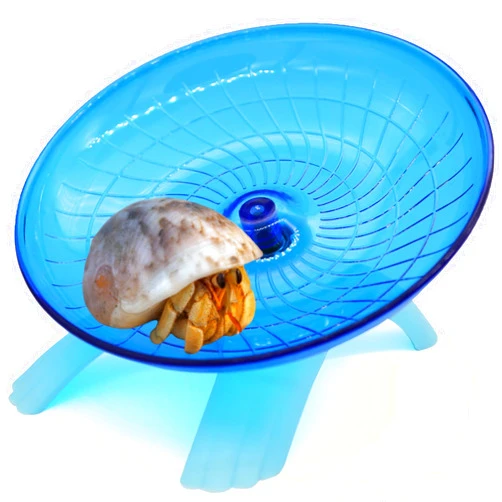 Wenriko Hermit Crab Climbing Toy, Hermit Crab Exercise Wheel, Super Silent Small Animal Wheel, Hermit Crab Tank Accessories, for Hermit Crab, Hamster, Gerbil