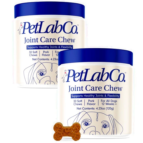 Petlab Co. Joint Care Chews - High Levels of Glucosamine for Dogs, Green Lipped Mussels, Omega 3 and Turmeric - Dog Hip and Joint Supplement to Actively Support Mobility (Value 2 Pack)