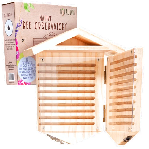 Rivajam Native Bee Habitat Observatory - Bug Habitat Toys for Kids 3-5 - Kids Nature Kit Bug Hotel - Bee House for Pollinator Bees - Mason Bee Houses for Pollinating Bees