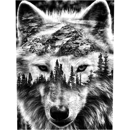 BOHADIY Diamond Painting Kits for Adults Kids Wolf 5D Diamond Art Kits for Adults Kids Beginner, Paintings with Diamonds Gem Art and Crafts for Home Wall Decor 15.8x11.8 Inch