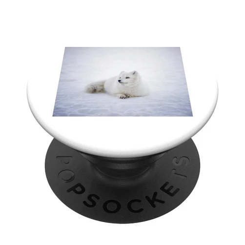 White Fox Acratic Theme Background Acratic Fox Snow White Fox Winter Theme Lover Iceland PopSockets Swappable PopGrip