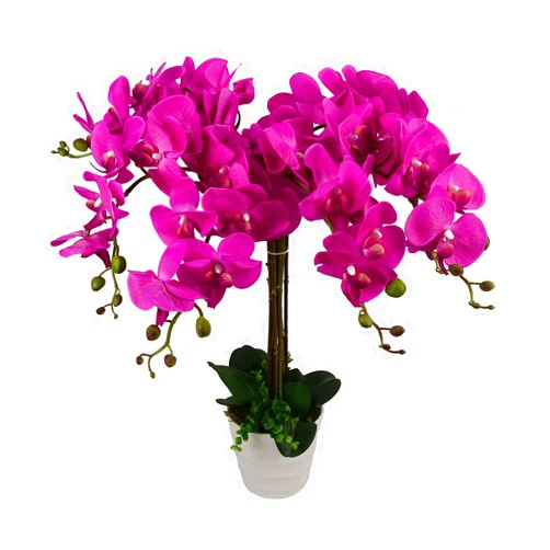 Leaf Design UK Realistic Artificial Orchid Flower Display in Pot,Dark Pink,85cm