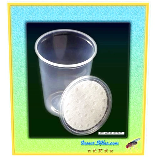 Insectsales.com Fruit Fly 32 oz. Insect Culture Cups (20 Pack) with Vented Fabric Lids