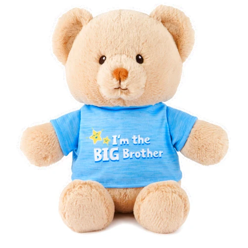 GUND “I'm the Big Brother” Sustainable Message Bear with Blue T-Shirt, Teddy Bear Made from 100% Recycled Materials for Ages 1 and Up, Tan, 12”