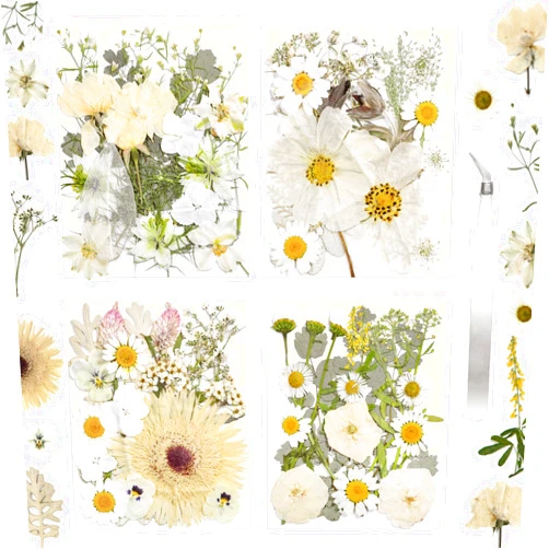 CONVELIFE Dried Flowers for Resin, Vacuum Packed DIY Pressed Flowers for Epoxy, Jewelry, Candles, Soap, Nail Production (80PCS White Dried Flowers)