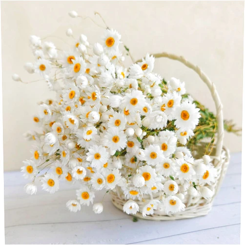Tavkite Dried Daisy Flowers Bouquet, 250+ Dry White Flowers, Artificial Sunflowers, 17'' Natural Gerber Daisies Arrangements for Farmhouse Vase Decor, Wedding, DIY Home Office Party Decoration