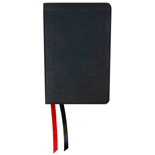 By The Lockman Foundation (Author) NASB Large Print Compact Bible, Black, Leathertex, 1995 text