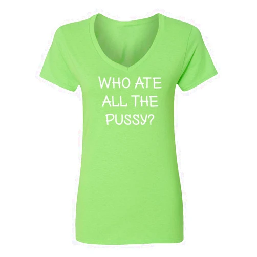 LES TRICOT Desantis Airlines Funny Bringing The Border to You Ladies' V-Neck Tshirt