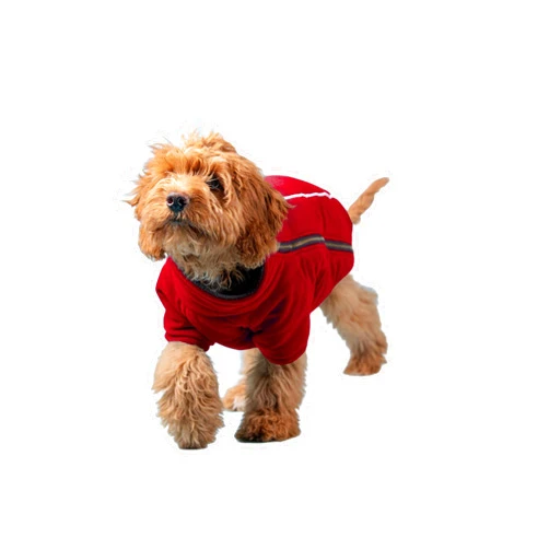 BoxDog Polar Fleece Warm Dog Jacket I Cold Weather Dog Coat | Dog Jackets Size XS, Small, Medium, Large, XLarge, XXL (Medium, Red)