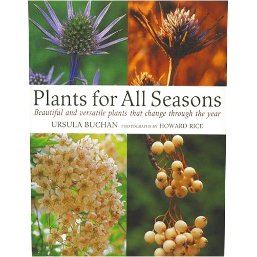 By Ursula Buchan (Author) Plants for All Seasons by Ursula Buchan (18-Mar-1999) Hardcover