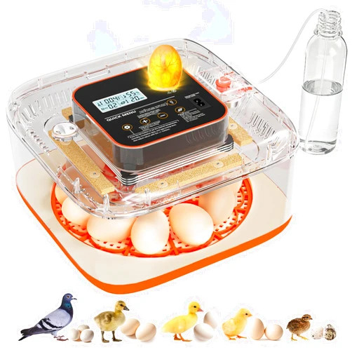 QVKHPCL Incubators for Hatching Eggs 12 Egg Digital Egg Incubator Precision Auto Temp Humidity Control 6 Gear Adjustable Auto Turner Auto Stop Turning Hatching Days Display for Chicken Duck Goose Eggs