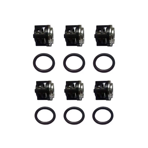 Ultimate Washer Replacement for Annovi Reverberi Pump Check Valves KIT 1828, 18mm, New Valves + O-Rings