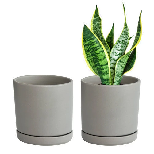 D'vine Dev Set of 2 Plants Pot, 6 Inch Ceramic Planter Pot for Plants with Drainage Hole and Saucer, Speckled Grey, 94-V-S-3
