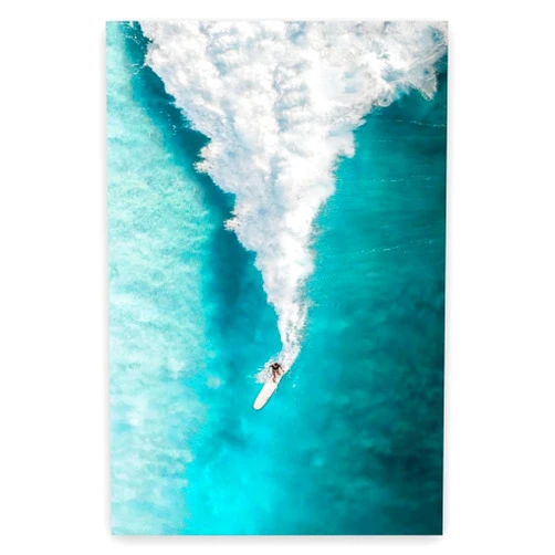 JQZylvtix sea surfer poster canvas wall art decoration print picture living room bedroom bathroom decoration8x12in Unframed, style-1
