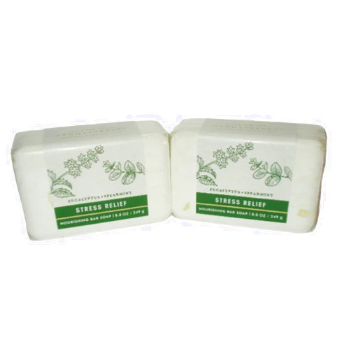 Bath & Body Works Bath and Body Works Eucalyptus Spearmint Soap x2
