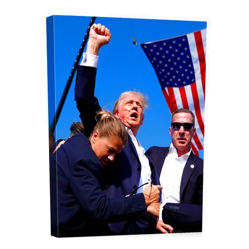 GUN SUPPLIES OUTLET LLC Donald Trump July 13, 2024 Keep Fighting Fist Pump Framed Photo