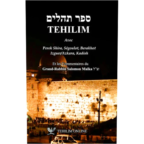 Tehilim Online,Avi Malka,Elie Malka Tehilim: Commentaires du Rabbin Salomon MALKA Zatsal (Hebrew Edition)