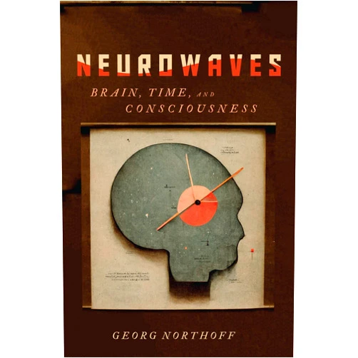Georg Northoff Neurowaves: Brain, Time, and Consciousness