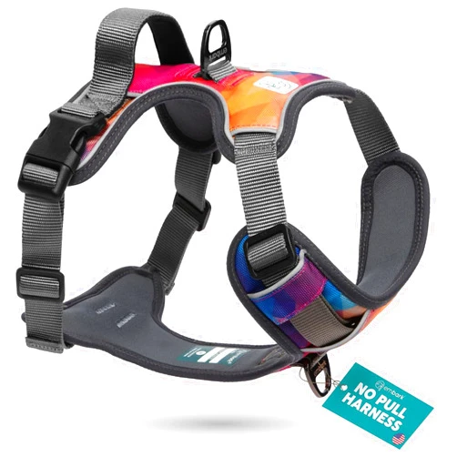 Embark Pets Embark Adventure No Pull Dog Harness, Reflective Trim No Pull Harness for Medium Sized Dog - Military Grade Nylon, Front Clip with Gel Lined Handle. Soft & Padded Puppy