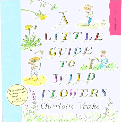 Charlotte Voake A Little Guide to Wild Flowers