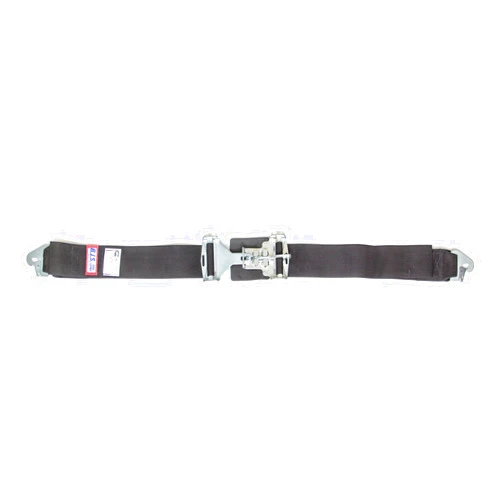 RJS Racing Equipment 15002001 Lap Belt , Black