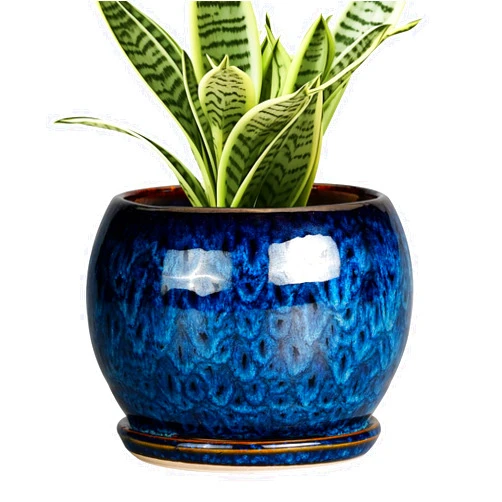 SQOWL 6 Inch Plant Pot - Ceramic Planter Pot with Drainage Hole and Saucer, Succulent Pot Round Flower Pot for Indoor Plants Outdoor, Blue