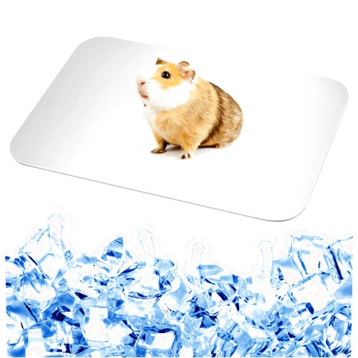 Ripeng Bunny Cooling Pad Rabbit Hamster Cooling Mat Chinchillas Cooling Pad Aluminum Silver Metal Summer Cooling Mat for Hamster Bunny Guinea Pig and Other Small Pets