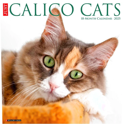 Willow Creek Press Calico Cats Monthly 2025 Wall Calendar (12