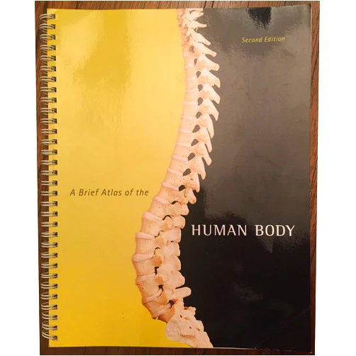 Matt Hutchinson,Jon Mallatt,Elaine Marieb,Patricia Wilhelm Brief Atlas of the Human Body, A