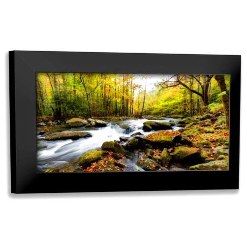 ArtDirect - Head, Danny 18x11 Black Modern Framed Art Print Titled: Tremont Panorama II