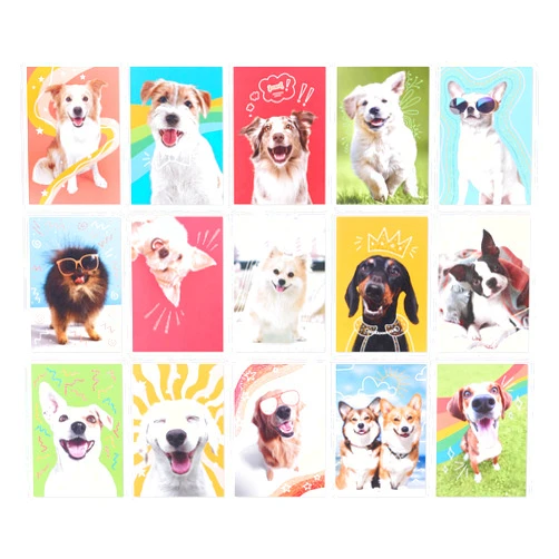 American Greetings Blank Cards and Envelopes Assortment Box, Funny Dogs, 15 count