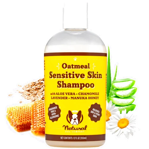Natural Dog Company Oatmeal Shampoo for Dogs with Sensitive Skin, Ideal Anti Itch and Puppy Shampoo Oatmeal Itch Relief Dog Dandruff Shampoo, Aloe Itchy Skin Relief for Dogs 12 oz