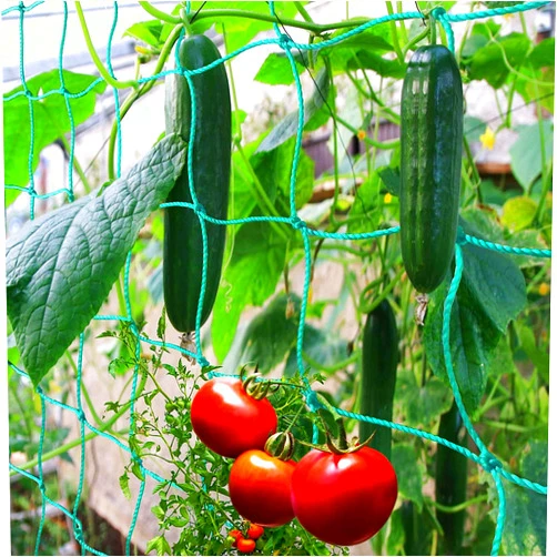 Miuezuth Trellis Netting for Climbing Plants - Heavy Duty Garden Trellis Netting for Cucumber, Vine, Fruits & Vegetables Tomato Plants Trellis Net, Climbing Vining Plants (1-Pack 8.2' x 6.6'Ft)