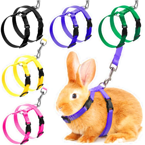 Outus 5 Pieces Adjustable Rabbit Harness and Leash Set Escape Proof Bunny Harness Vest for Pet Running Walk Jogging Bunny Cat Puppy Kitten Ferret and Other Small Pet(Lovely Color)