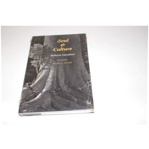 Roberto Gambini,David H. Rosen Soul and Culture (Volume 9) (Carolyn and Ernest Fay Series in Analytical Psychology)